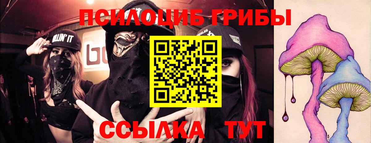 Комсомольск-на-Амуре  Псилоцибиновые грибы Magic Shrooms  Вход с VPN 